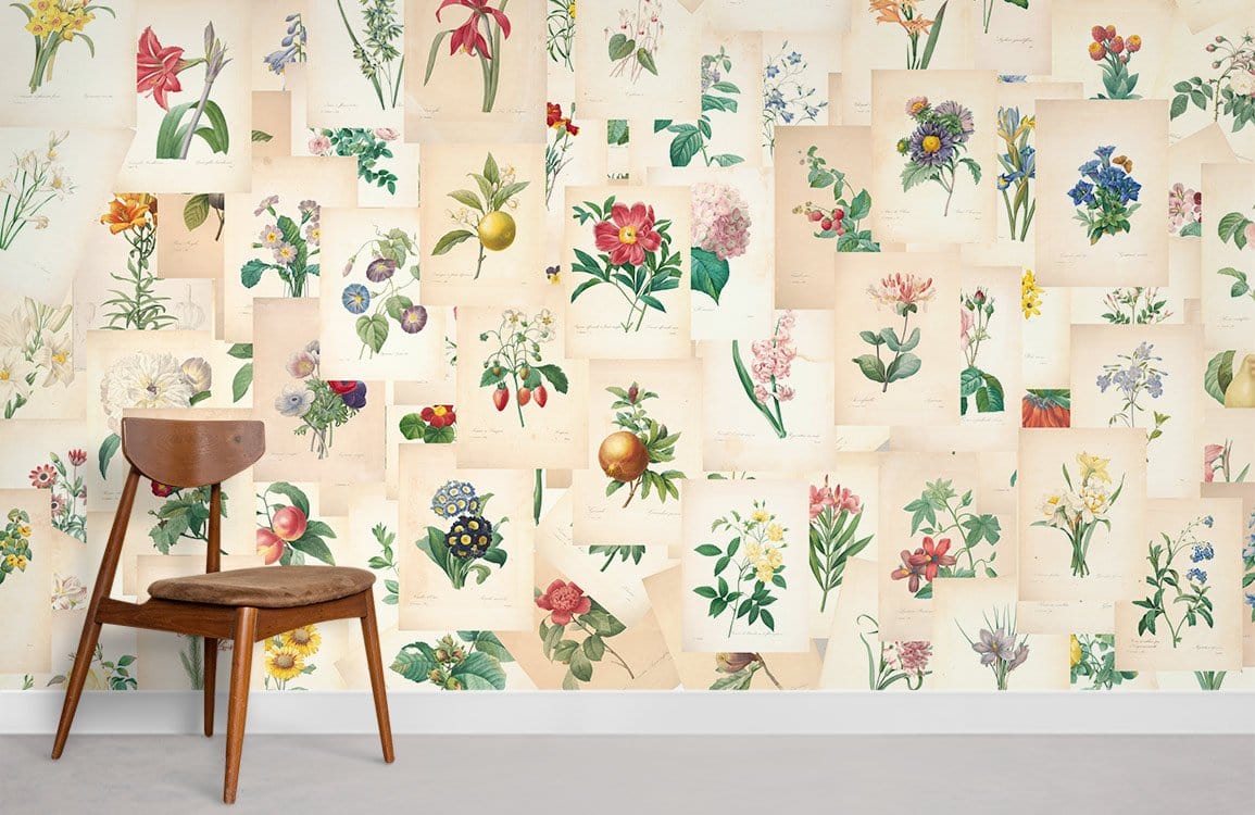 Antique Botanical Illustrations Collage Wallpaper Mural