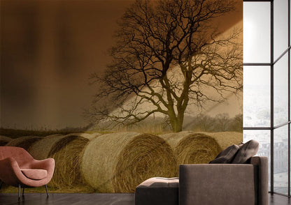 many rolling straws on the meadow in autumn tree wall mural art design