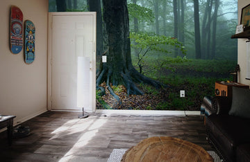 Misty Forest Scene Nature Mural for Wall