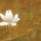 Gold Plated Lotus Mural Wallpaper Art Design Interior