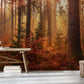 Wallpaper mural for the hallway featuring a golden autumn scene in a forest setting.