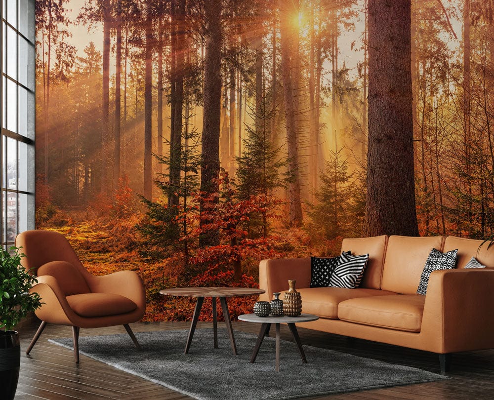 Wallpaper mural for living room decor featuring a golden autumn scene in a forest setting.