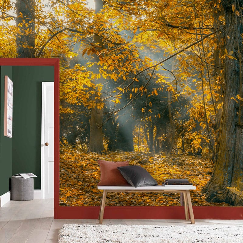 Wallpaper mural depicting a golden autumn forest landscape for use in decorating the hallway