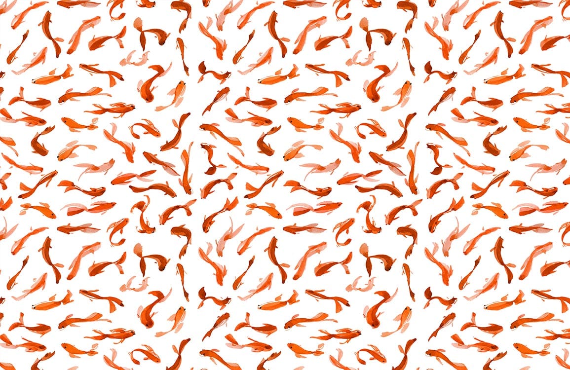 repeated Goldfish pattern Wallpaper Mural plain