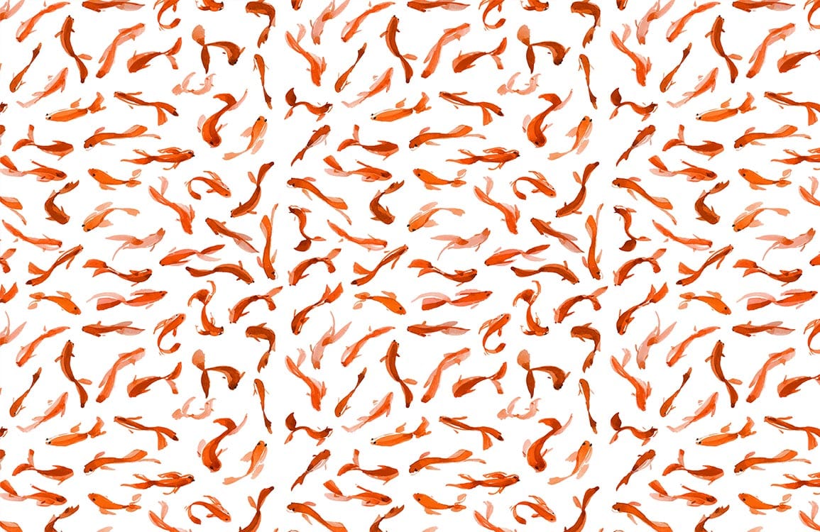 Mura di carta da parati con carpe koi arancioni