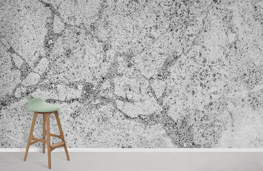Graphite Gray Art Wallpaper Mural for Interior Design of Homes