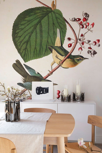 Vintage Botanical Bird Illustration Mural Wallpaper in dining room