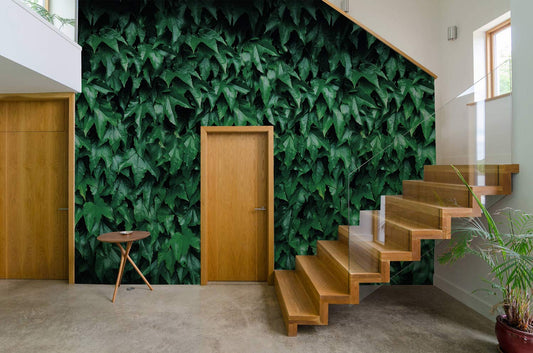 Home Decoration Featuring a Green Maple Leaf Wallpaper Mural