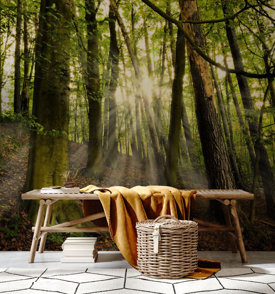 Wall Mural of Forest Scenery, Featuring Trees and a Slope, in Green tones for the Foyer