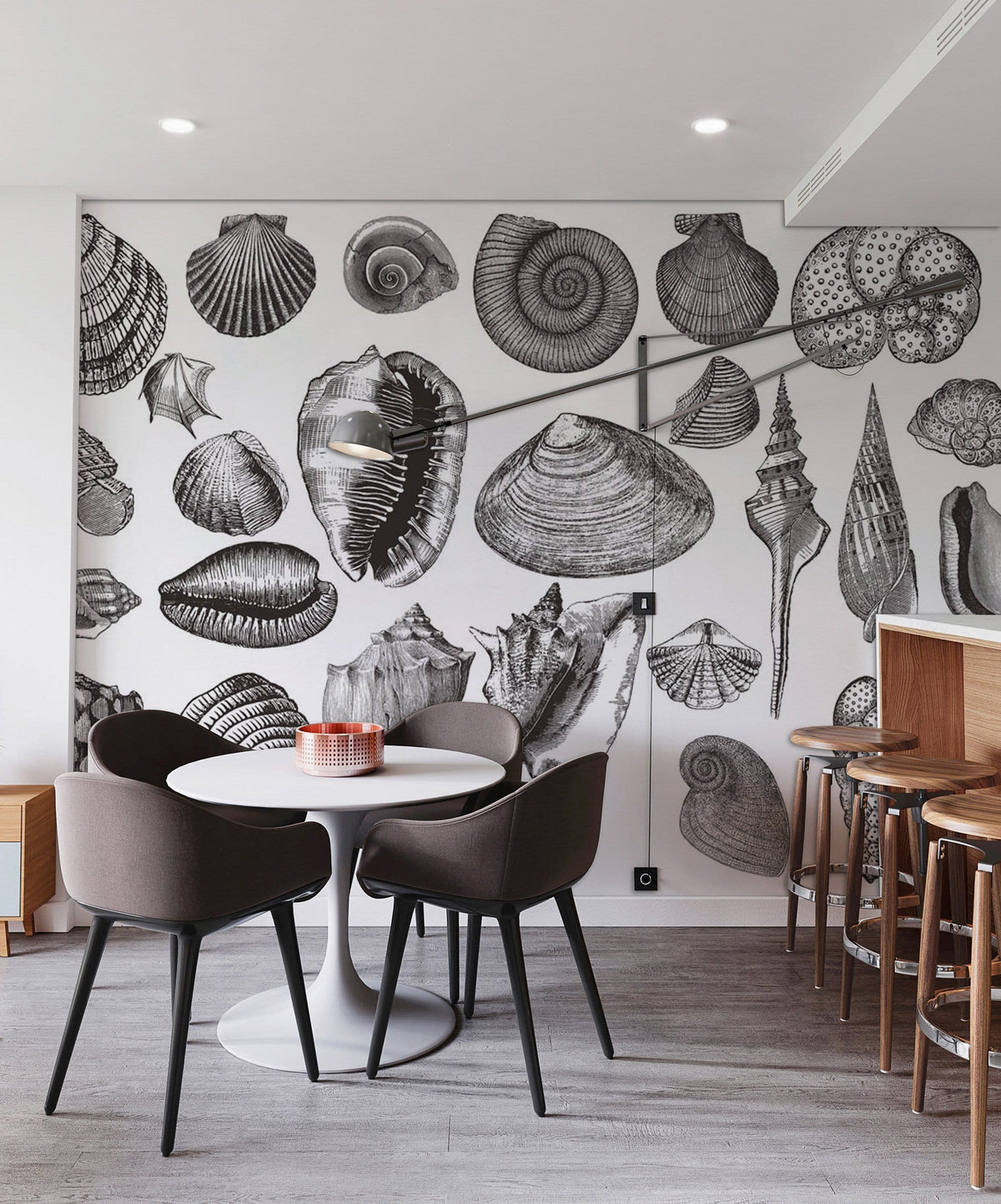 Vintage Monochrome Seashell Mural Wallpaper | Ever Wallpaper ...