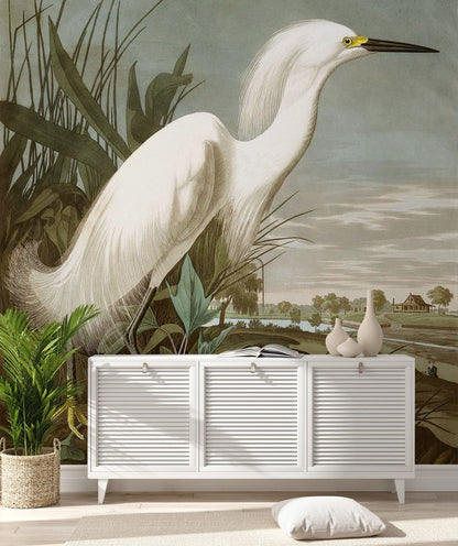 Vintage Bird Illustration Elegant Mural Wallpaper in living room