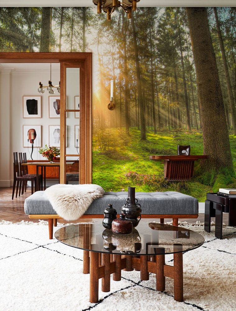 Wall Mural Wallpaper of a Forest Scene of Hope for Home Decoration