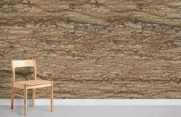 Carta da parati murale in betulla beige rustica e testurizzata