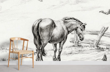 Equestrian Sketch Countryside Mural Wallpaper