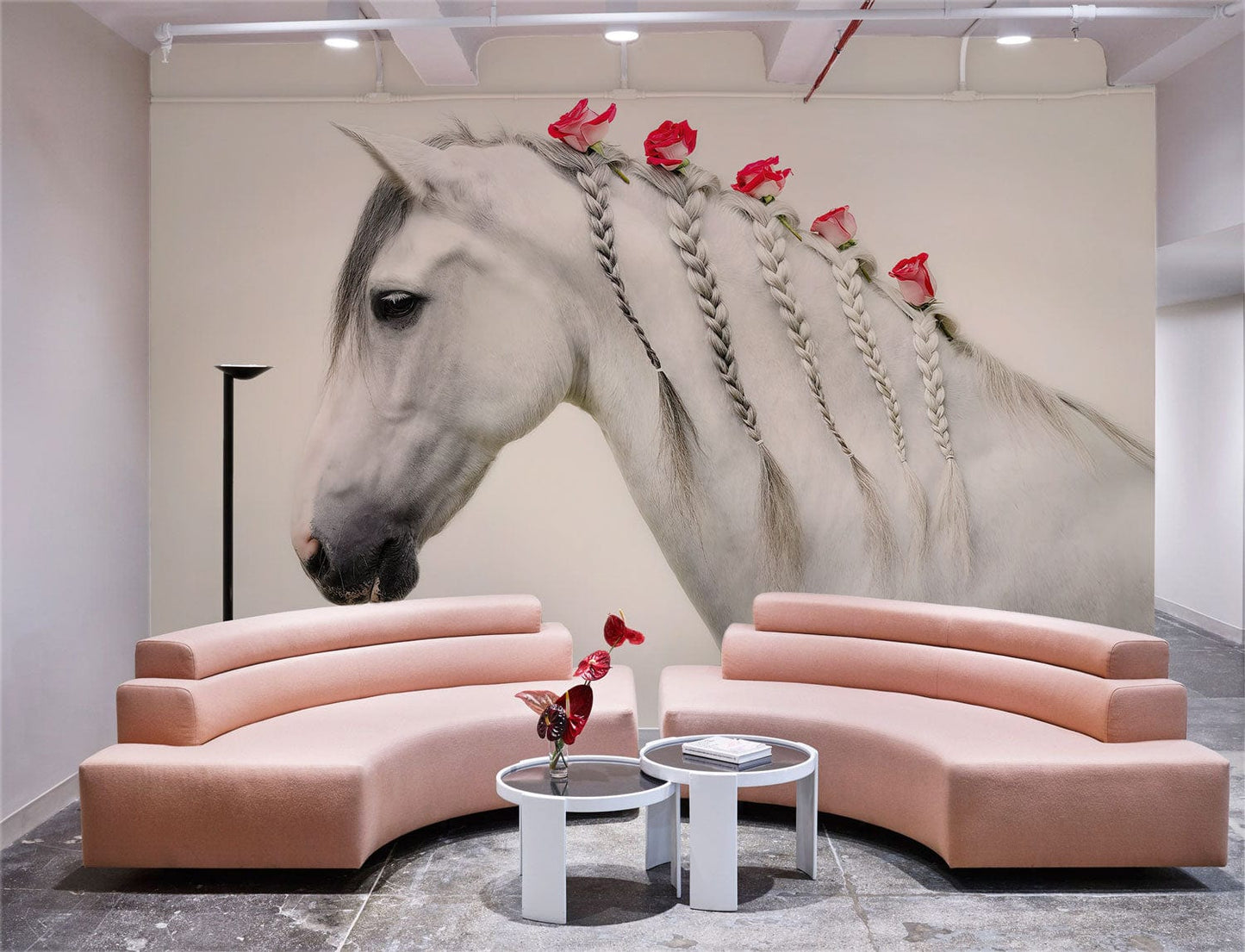 horse animal  wallpaper mural custom design