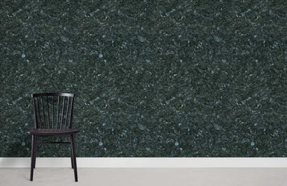 Luxurious Dark Textured Abstract Mural Wallpaper
