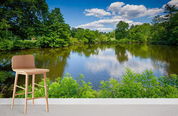 Serene Nature Landscape Wall Mural