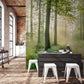 idea for lane in forest natural style wallpaper mural