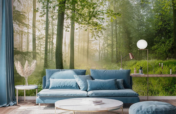 Sunlit Forest Path Nature Mural Wallpaper