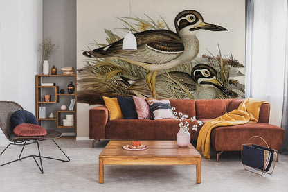 Vintage Bird Illustration Art Mural Wallpaper in living room