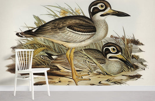 Vintage Bird Illustration Art Mural Wallpaper