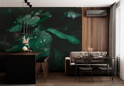 Raindrops On Leaf Custom Wallpaper Design