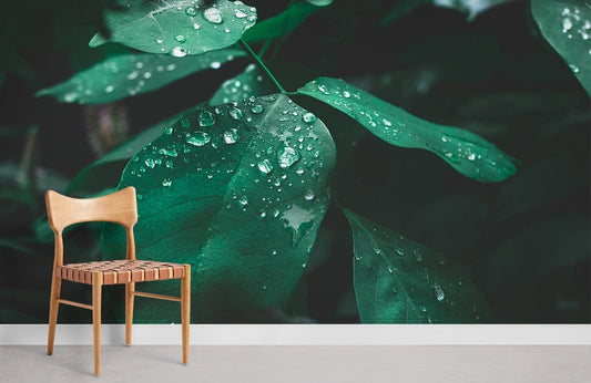 Raindrops Leaf Wall Murals Room