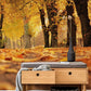 Wallpaper mural featuring a scene of leaves blowing in the wind during autumn, perfect for decorating a hallway.