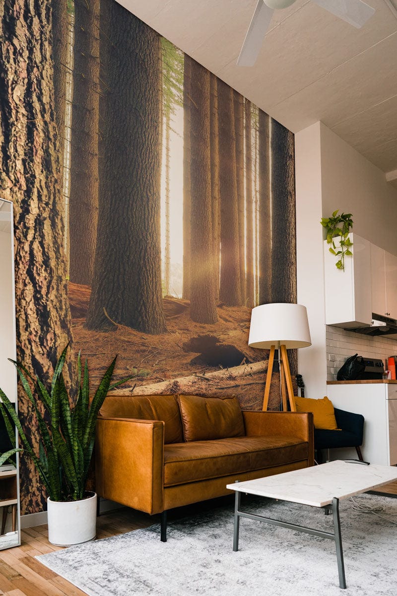 Wallpaper Mural for Living Room Decoration Showing a Desolate Forest at Sunset