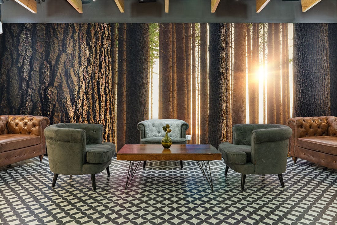 Wallpaper Mural of a Desolate Forest at Sunset, Perfect for Decorating a Living Room