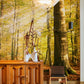 Hallway Wall Mural Wallpaper of a Forest Scene with Light Penetrating the Birch Trees