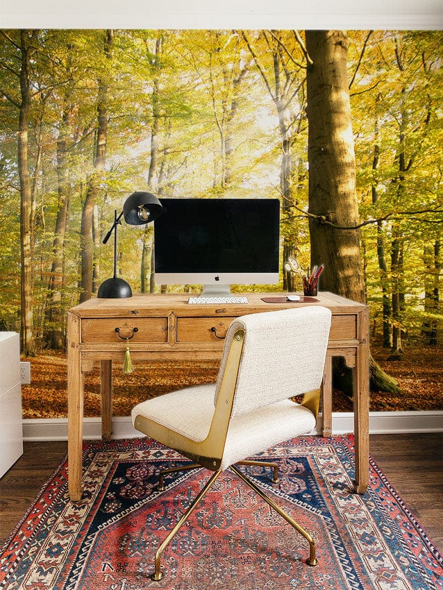 Landscape Wall Mural with Shining Light Filtered Through Birch Trees, Ideal for the Workplace