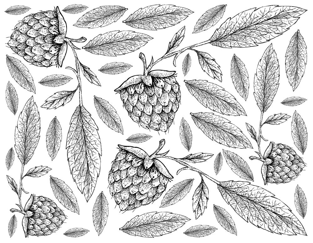 Botanical Raspberry Leaf Mural Wallpaper