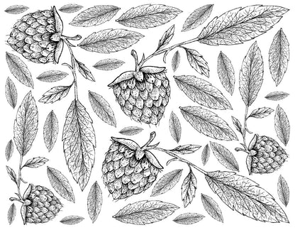 wallpaper with raspberries and autumn foliage