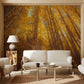 Wallpaper mural with a looking-up at autumn birches scene for use in decorating a living room