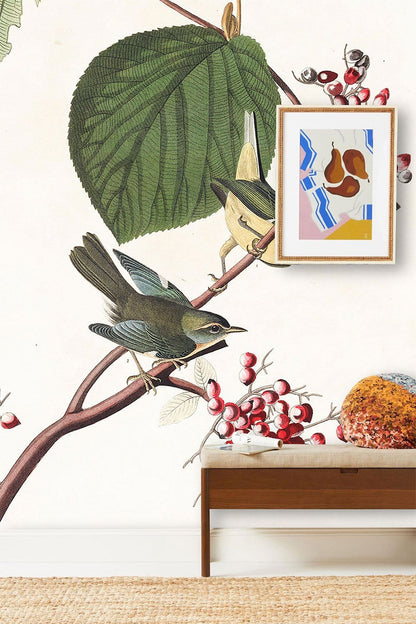 Vintage Botanical Bird Illustration Mural Wallpaper in living room