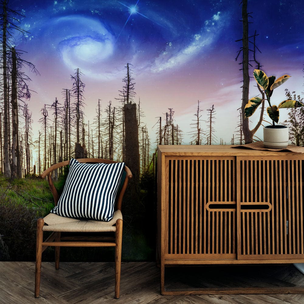 Wall Mural Wallpaper of an Enchanted Forest to Use as Hall Decorating