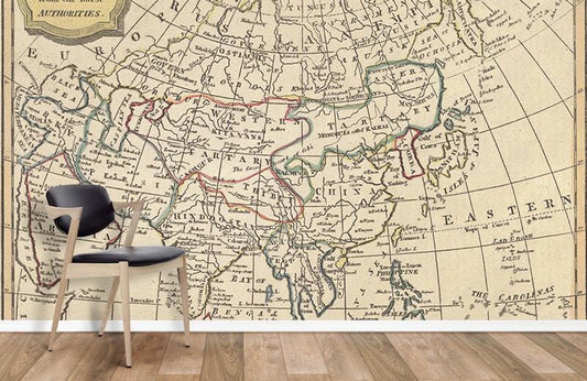 Vintage Cartographic Asia Map Mural Wallpaper