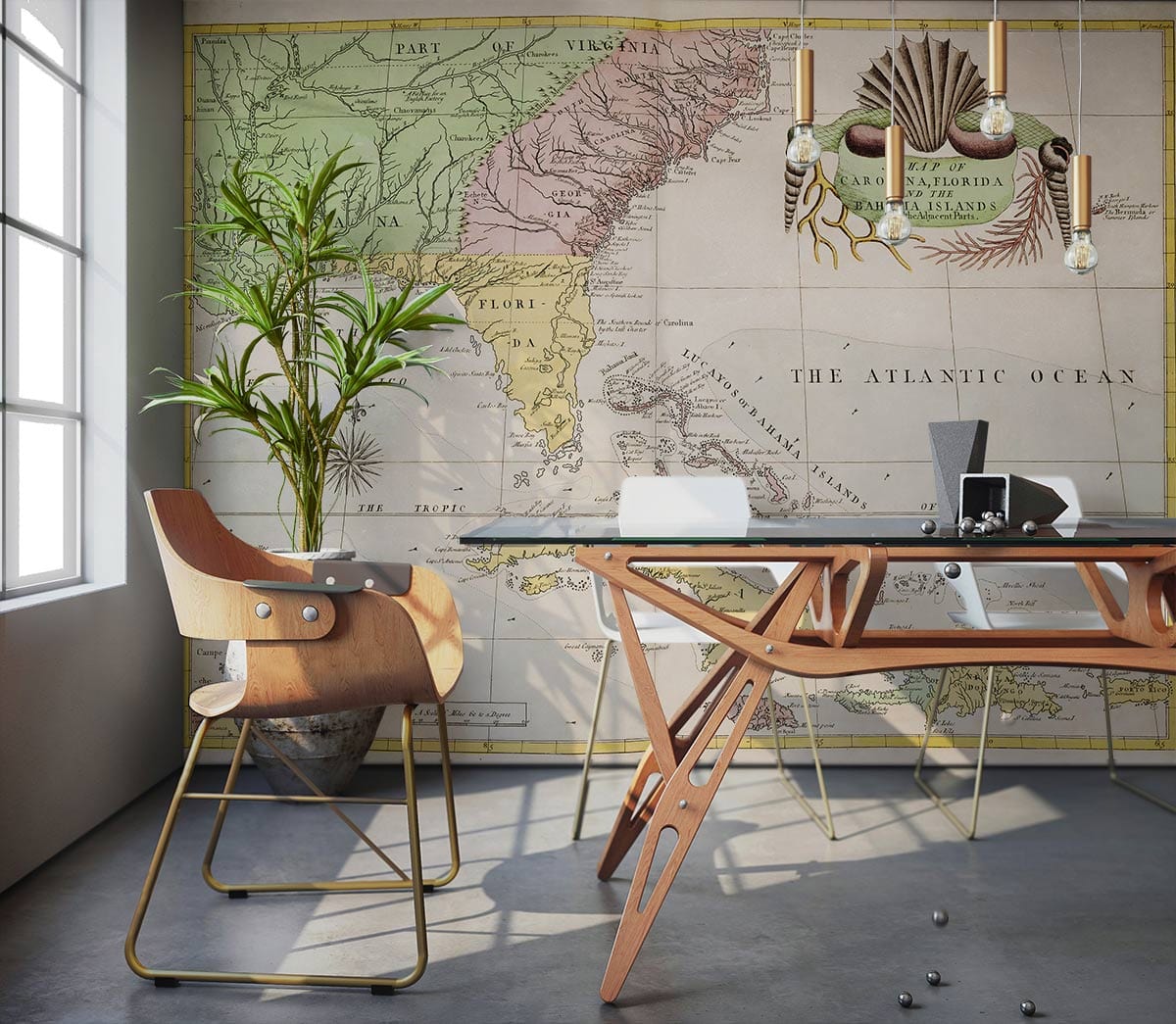 Map of Carolina & Florida Wallpaper Mural Decoration