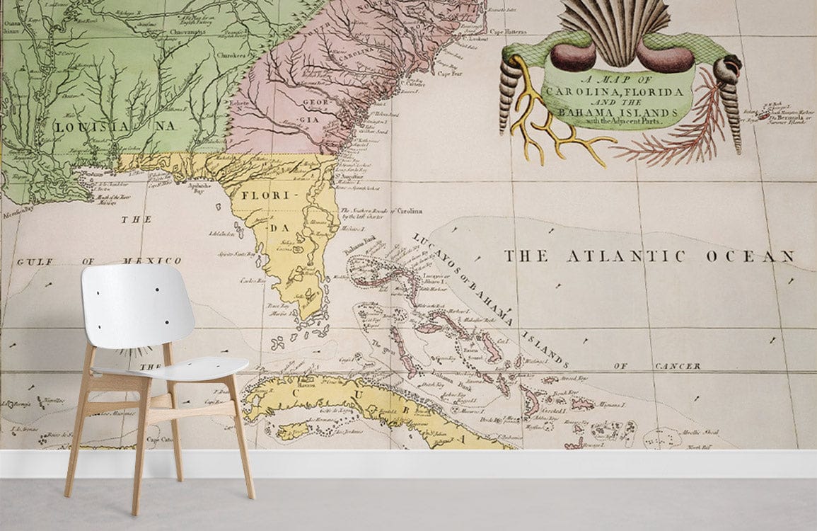 Map of Carolina & Florida Wall Mural For Room