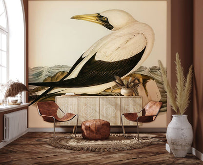 Vintage Nautical Bird Illustration Mural Wallpaper in living room