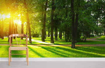 Sunlit Forest Clearing Nature Mural Wallpaper