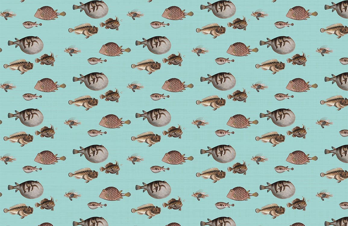 different fishes in the green background wallpaper decoration