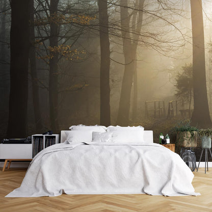 forest trees and light wallpaper decoration art