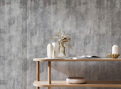 Modern Grey Concrete Textured Mural for Wall