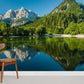 Mountain & Lake Scenery Wallpaper Home Decor