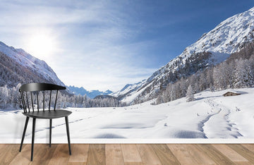 Serene Winter Landscape Wall Mural