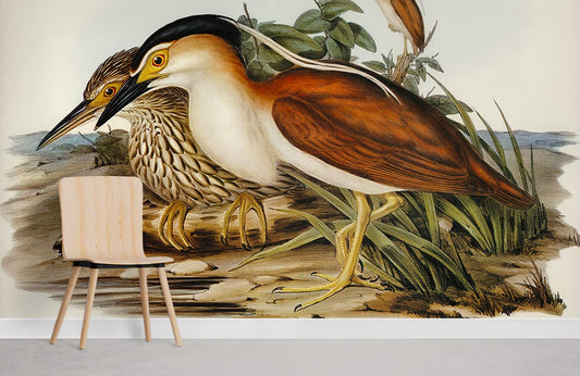 Vintage Bird Illustration Art Wallpaper Mural