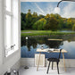 Wallpaper mural featuring natural park landscapes for use in decorating an office.