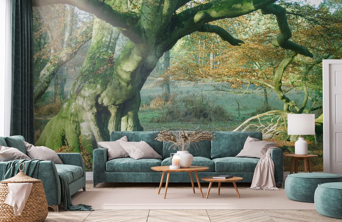 Wallpaper Mural for Living Room Decoration Featuring a Natural Forest Bathed in Sunshine